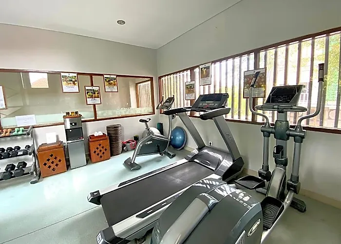 The Leaf *